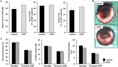 Enzymatic Activity Is Not Required for Phospholipase D Mediated TNF-α Regulation and Myocardial Healing